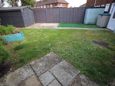 Picture 21